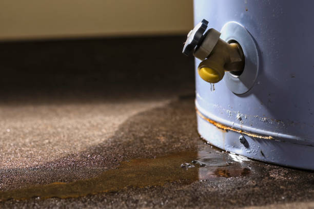 Best Residential water damage restoration  in State Center, IA