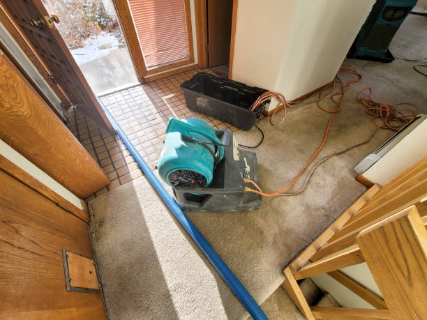 Best Commercial water damage restoration  in State Center, IA