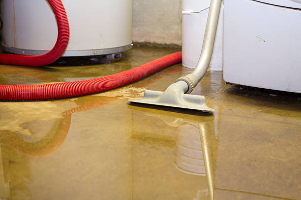 Best Water damage restoration process  in State Center, IA