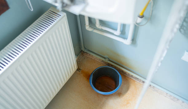 Best Local water damage restoration  in State Center, IA
