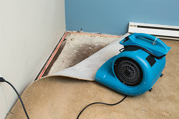 Best Flood damage cleanup  in State Center, IA
